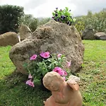 Monte Gruttas *