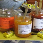 Monte Gruttas