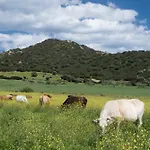 Monte Gruttas Alloggio per agriturismo Camisa