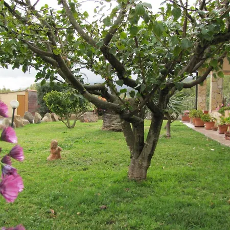 Monte Gruttas Camisa