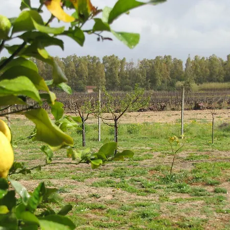 Monte Gruttas * Camisa