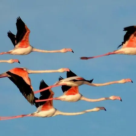 Κατάλυμα σε φάρμα Monte Gruttas Camisa