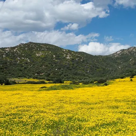 Monte Gruttas Farm stay