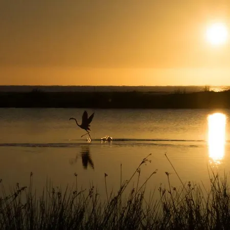 Monte Gruttas Κατάλυμα σε φάρμα