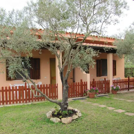 Monte Gruttas * Camisa