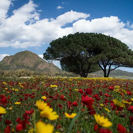 Κατάλυμα σε φάρμα Monte Gruttas Camisa