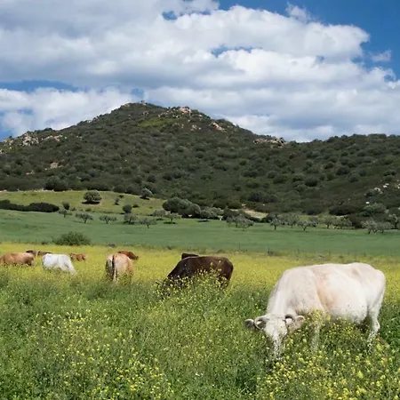 Monte Gruttas Κατάλυμα σε φάρμα Camisa
