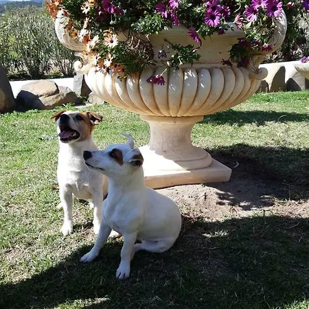 Monte Gruttas Κατάλυμα σε φάρμα Camisa