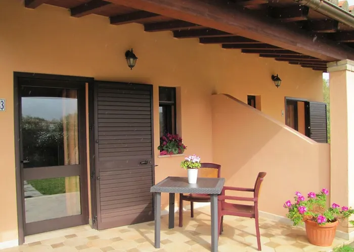 Monte Gruttas Камиза