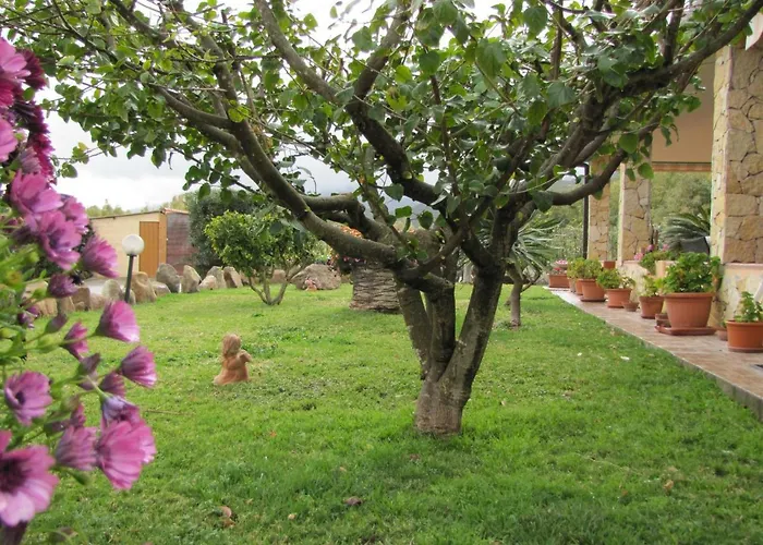 Monte Gruttas Камиза