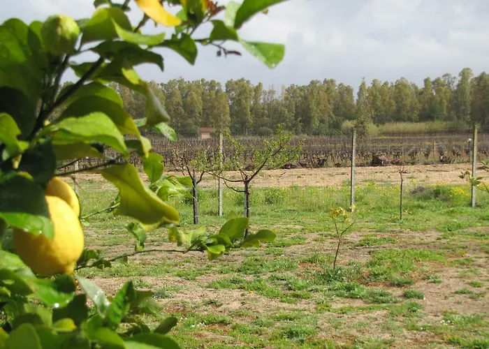 Monte Gruttas * Камиза