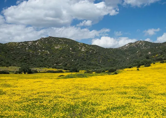 Monte Gruttas Фермерский дом