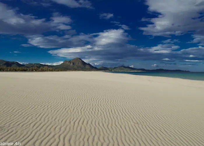 Monte Gruttas Камиза