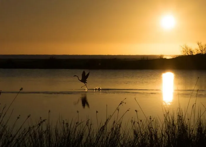 Monte Gruttas Фермерский дом