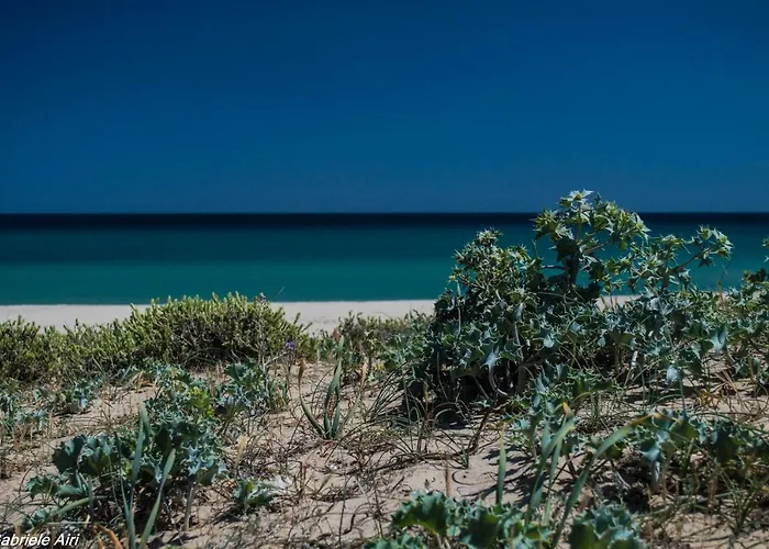 Monte Gruttas Фермерский дом *