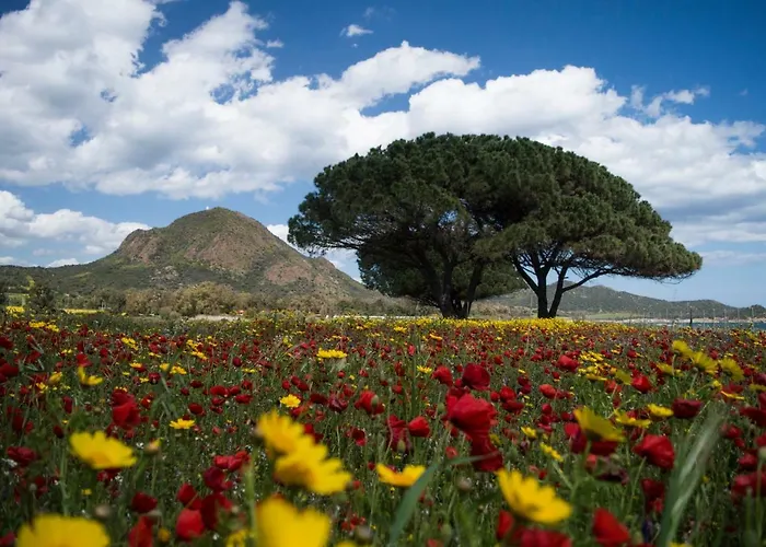 Фермерский дом Monte Gruttas Камиза