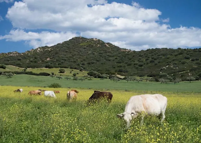 Monte Gruttas Фермерский дом Камиза