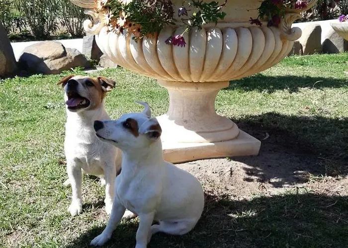 Monte Gruttas Фермерский дом Камиза